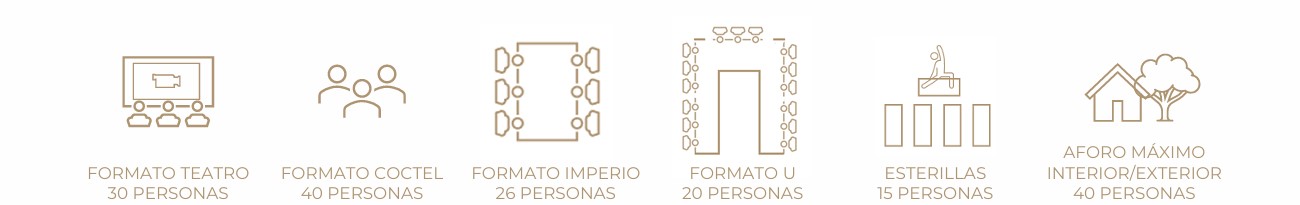 AFOROS SEGÚN FORMATO
